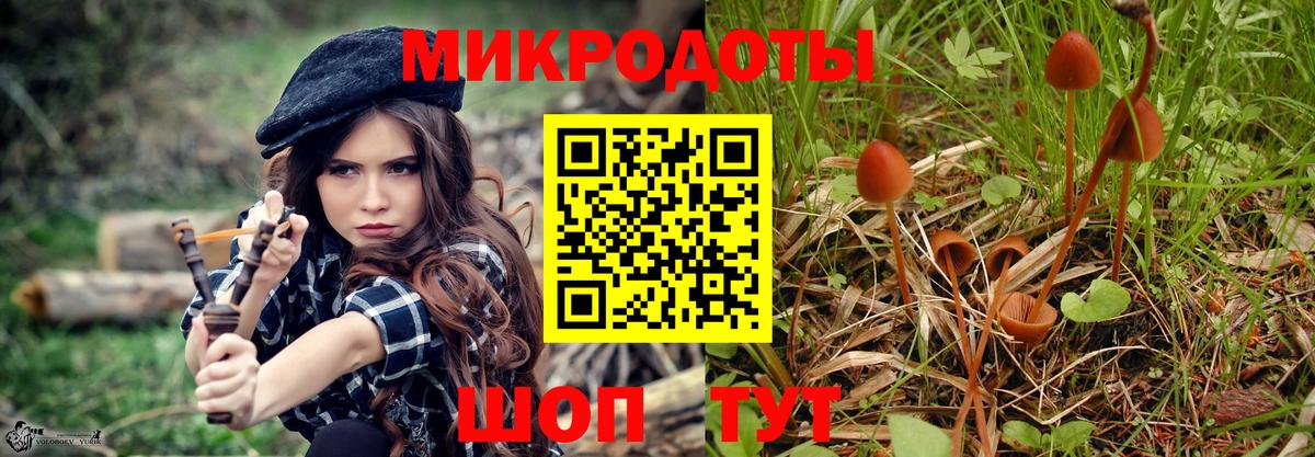Урус-Мартан  Псилоцибиновые грибы прущие грибы  Вход с VPN 